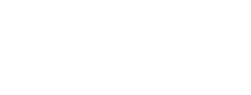 Self Seen